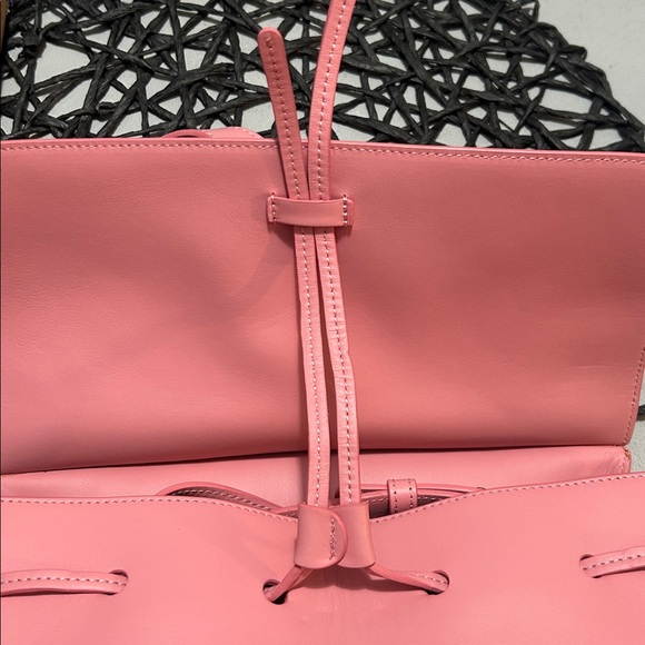NWT- MANSUR GAVRIEL CALF LADY BAG — PEONY TOP HANDLE CROSSBODY - Picture 6 of 16